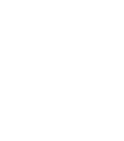 icono escudo web